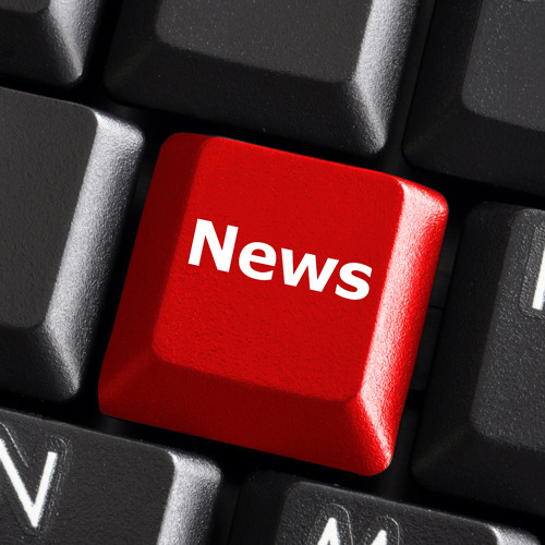 2. Vorstand (kommissarisch)